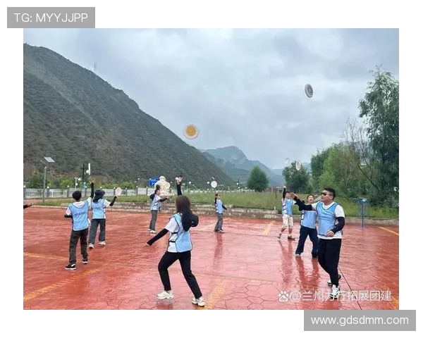 深入分析西安飞盘队的快速转换战术与团队协作技巧